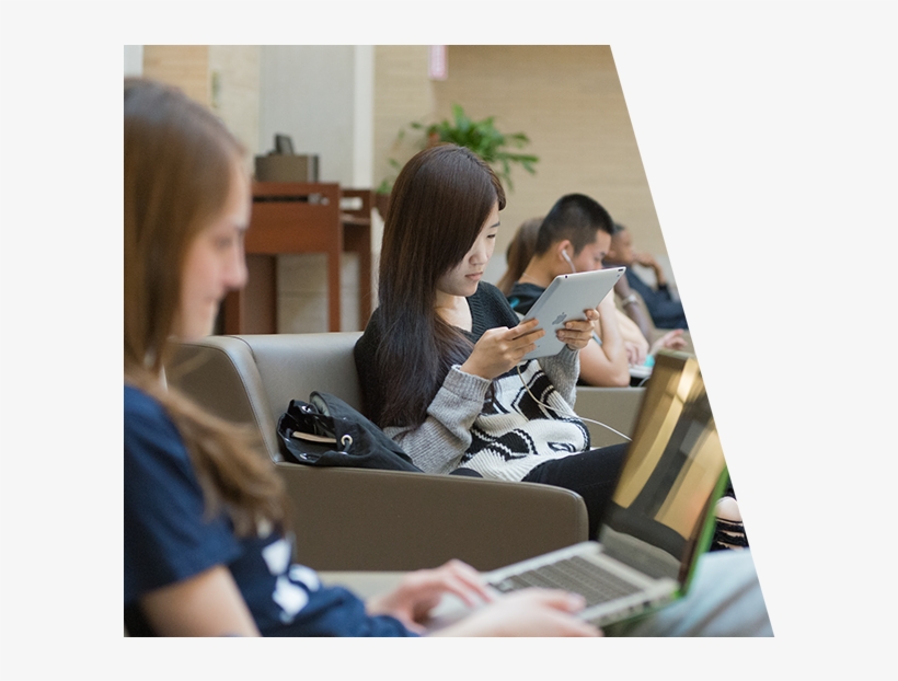 Students Studying - Student, transparent png