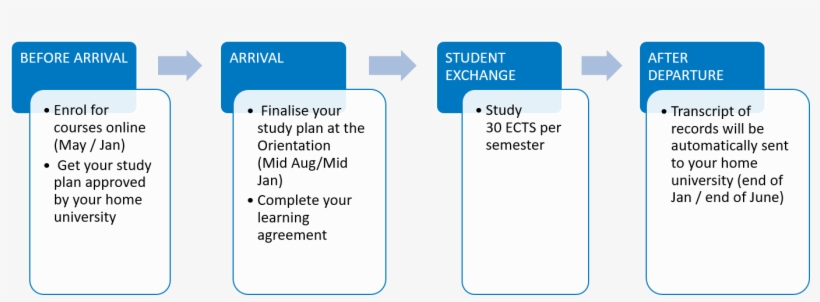 Course Enrolment - Haaga-helia University Of Applied Sciences, transparent png