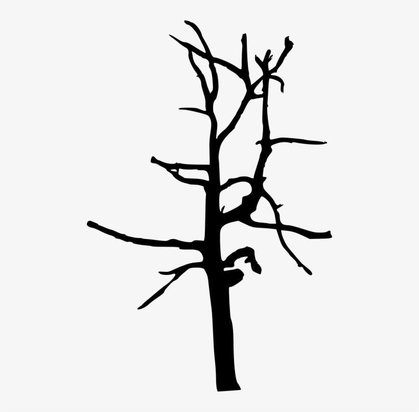 Free Png Simple Bare Tree Silhouette Png Images Transparent - Bare Twig Transparency, transparent png