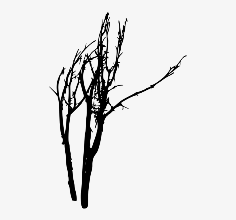 Free Png Bare Tree Silhouette Png Images Transparent - Portable Network Graphics, transparent png