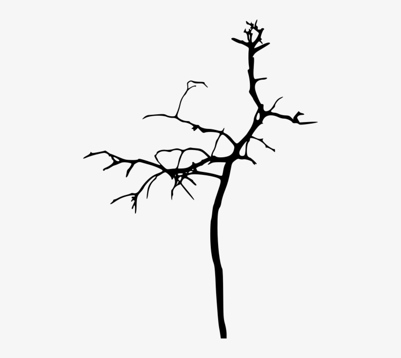 Free Png Simple Bare Tree Silhouette Png Images Transparent - Silhouette, transparent png