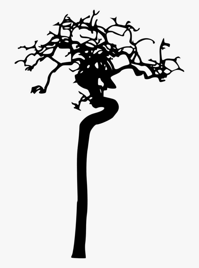 18 Bare Tree Silhouette Vol - Silhouette, transparent png