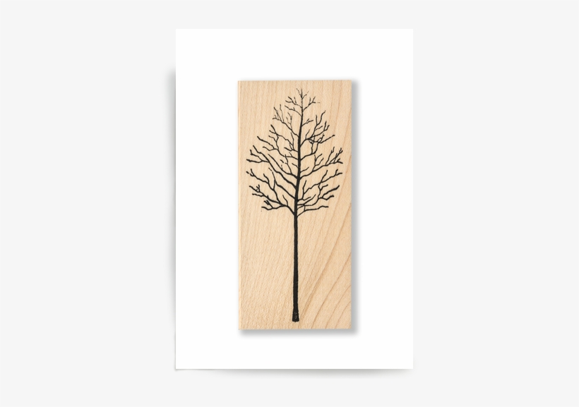 Bare Trees - Red Pine, transparent png