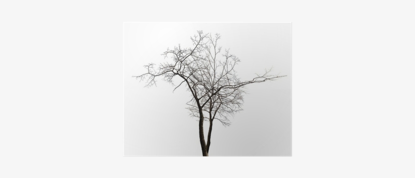 Winter, transparent png