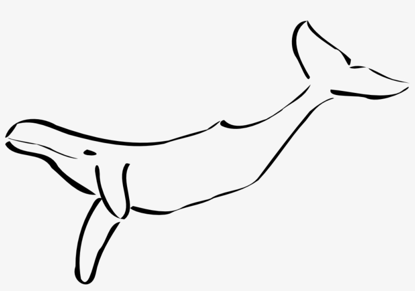Whale Clipart Png, transparent png