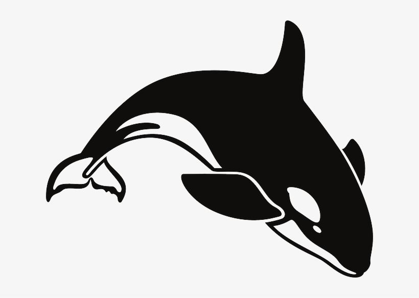 Orca Clipart Transparent - Killer Whale Throw Blanket, transparent png