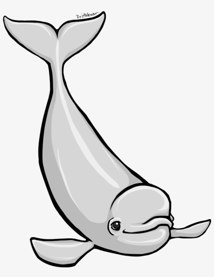 Beluga Whale Clipart - Beluga Clipart, transparent png