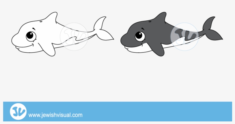 Killer Whale Clipart - לויתן, transparent png