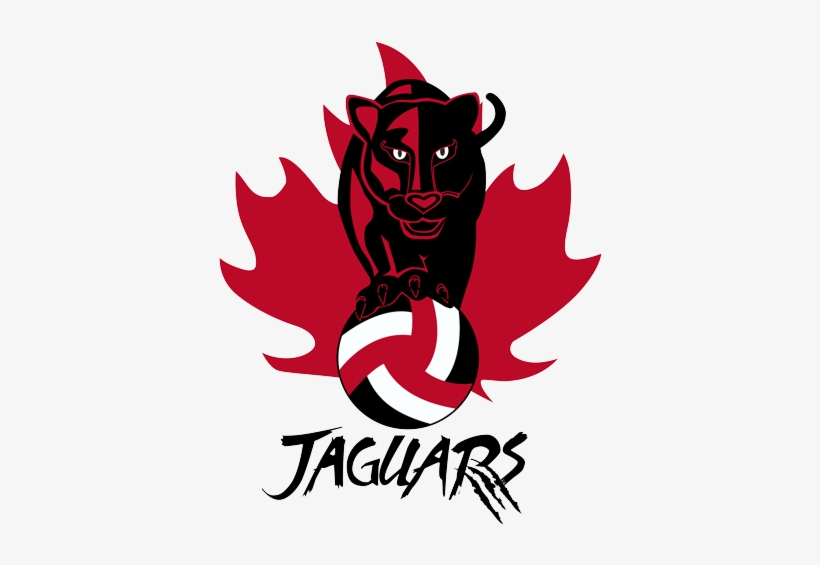 Cochrane Jaguars Youth Volleyball Club - Volleyball, transparent png