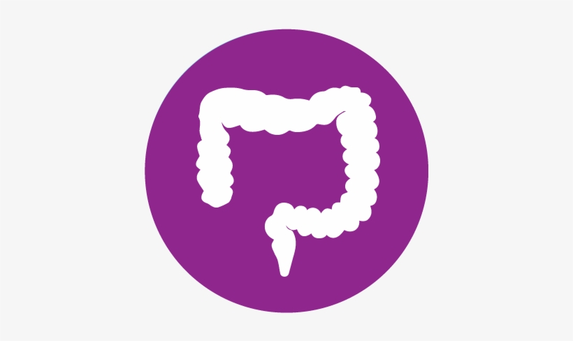 Digestive System - $2 - 50 - Ceu - - Colon Cancer Icon, transparent png