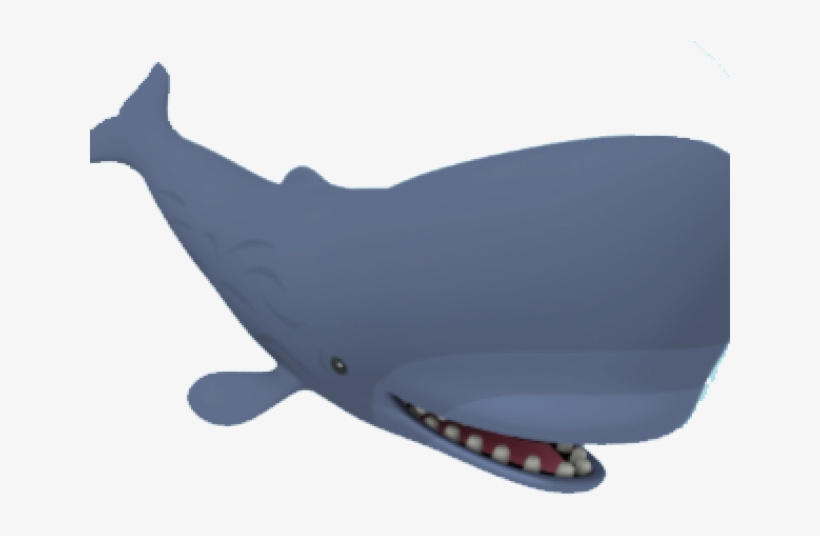 Whales, transparent png