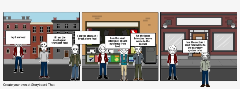 Digestive System - Cartoon, transparent png