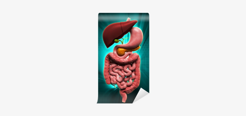 Nutrition And Bariatric Surgery [book], transparent png