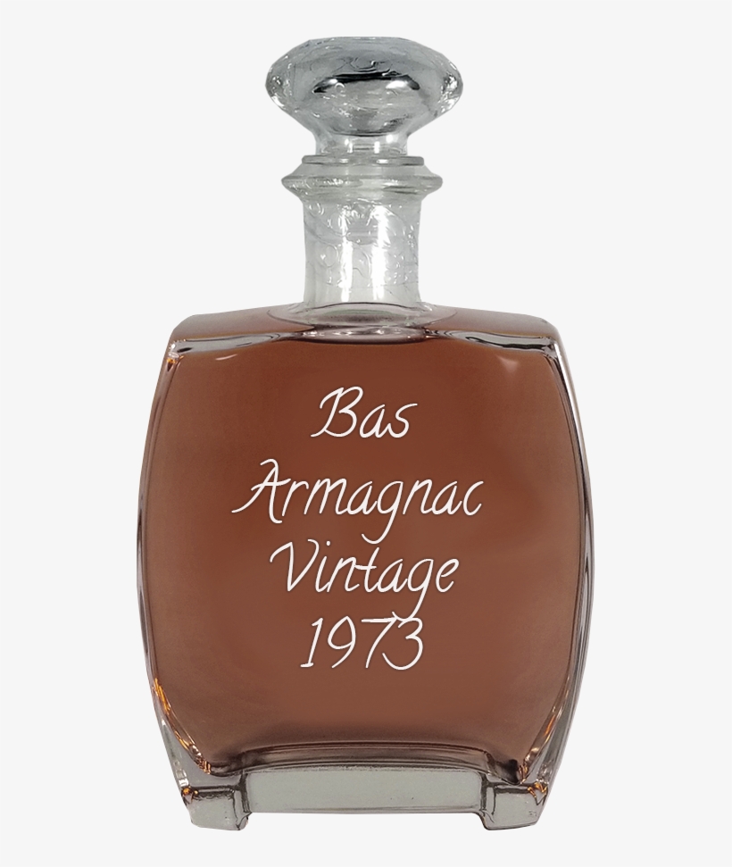 Filter - Cognac, transparent png