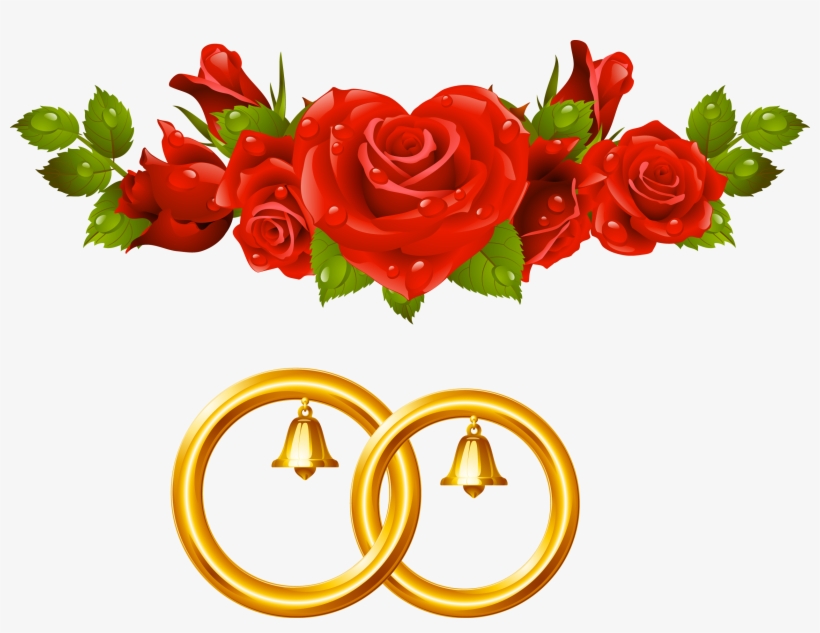 Marriage, Album, Grooms, Wedding, Casamento, Mariage, - Red Roses Transparent, transparent png