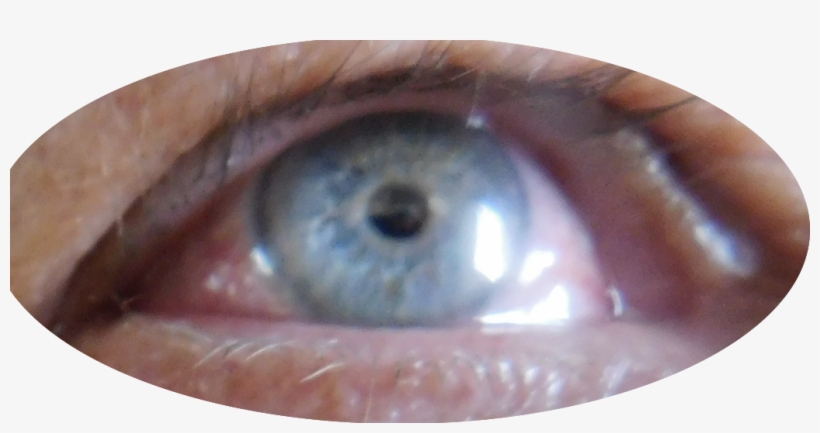 And Below On An Average Day - Close-up, transparent png
