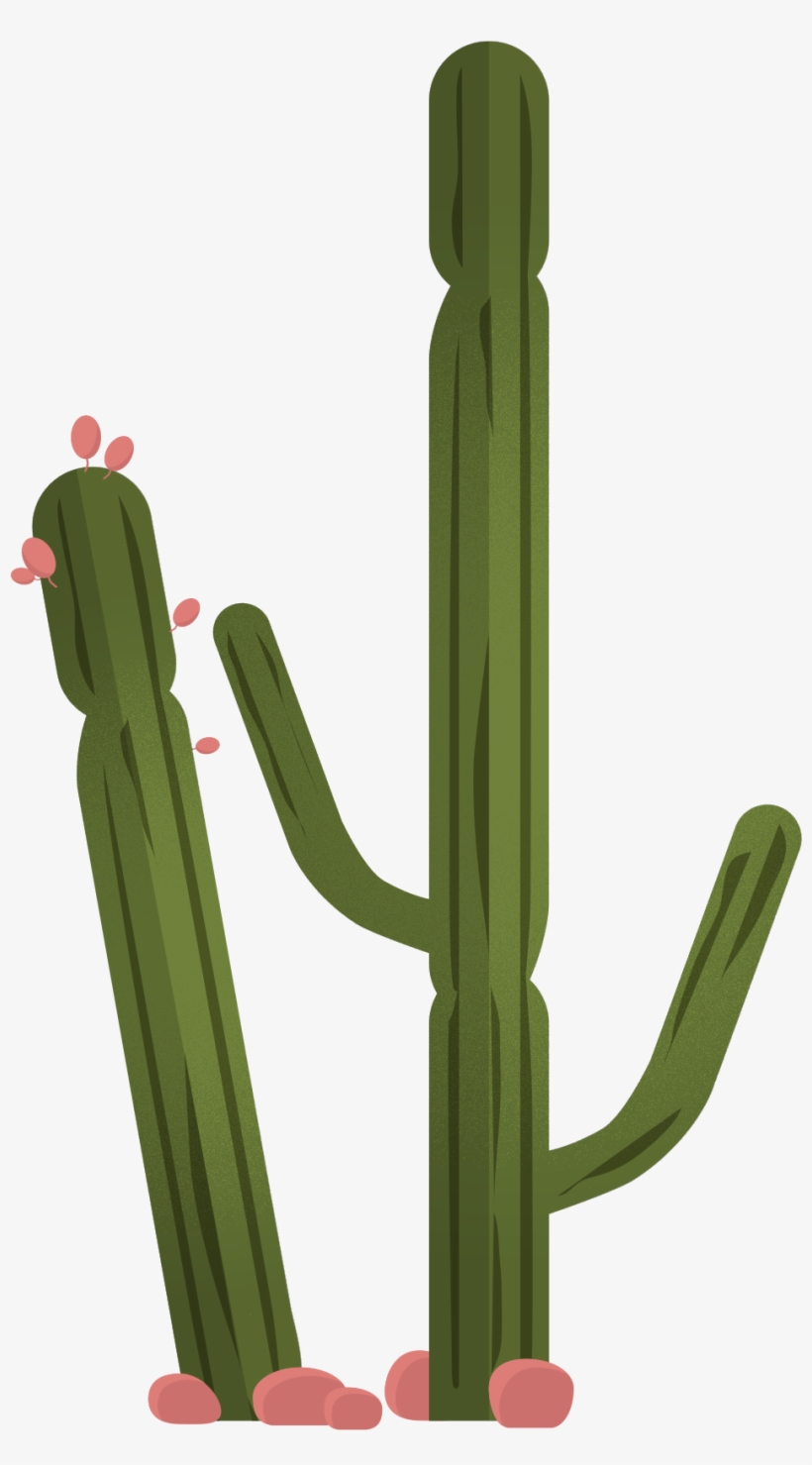 Vector Trees & Exterior Plants - Hedgehog Cactus, transparent png