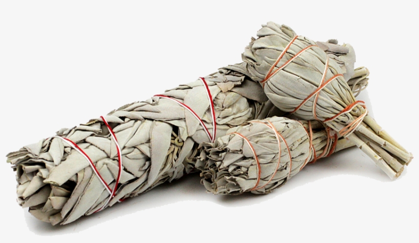 White Sage Smudge Stick, transparent png