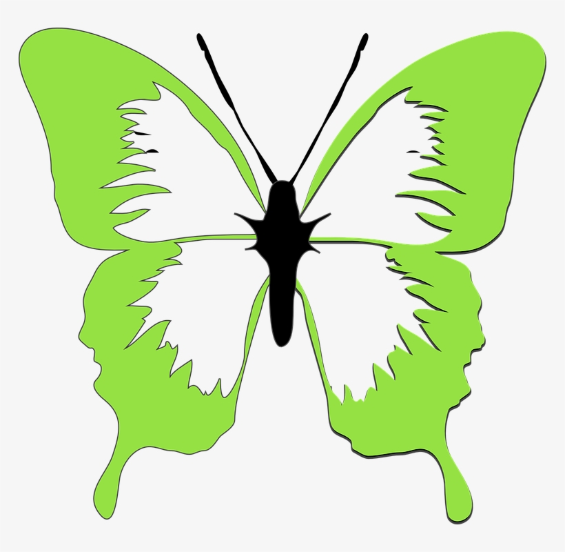 Rainbow Butterfly Clipart Light - Lime Green Butterfly Clip Art, transparent png