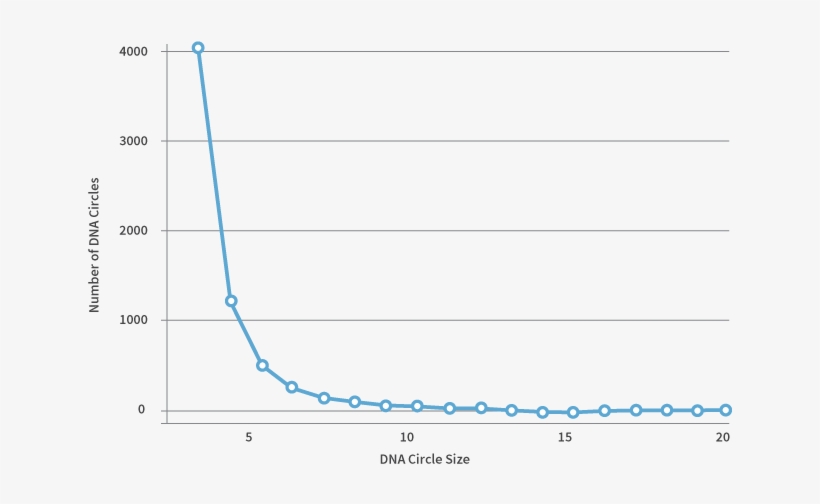Number Of Dna Circles Of Sizes 3 Through 20 (x Axis) - Plot, transparent png