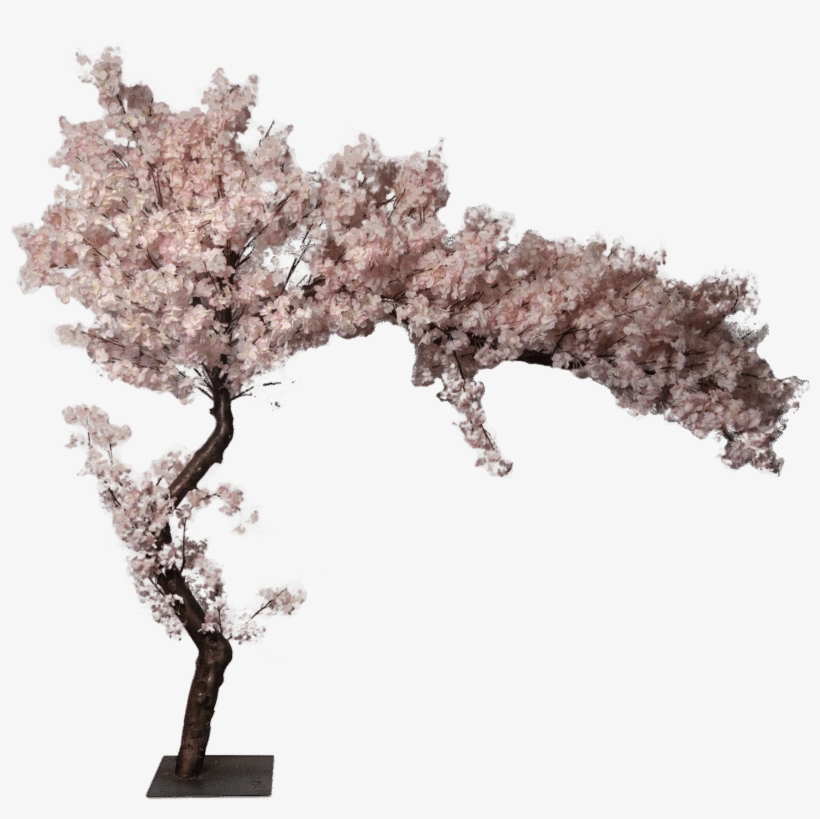 Cherry Blossom Artificial Tree 0 - Cherry Blossom, transparent png
