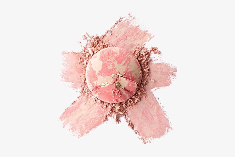 The Art Of Blushing - Garden Roses, transparent png
