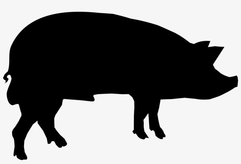 Png File Svg - Buffalo Pumpkin Carving Stencils, transparent png