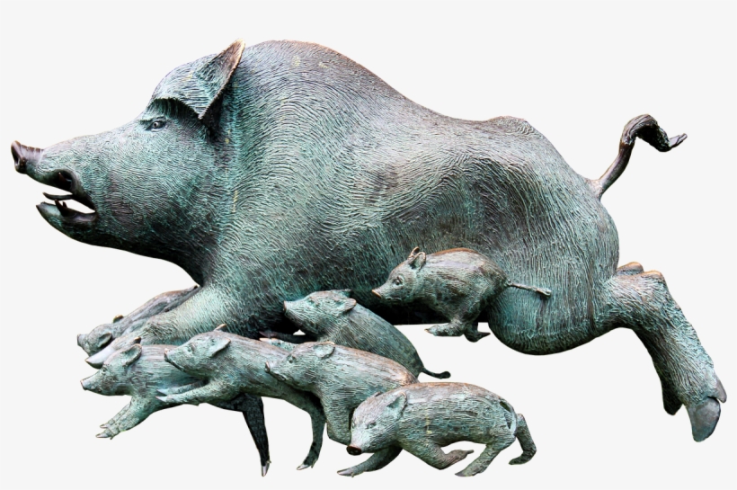 Wild Rotting Pig, Boar, Rotte, Pack, Little Pig - Rotting Hog, transparent png