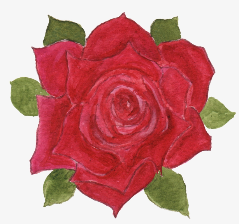 On The Other Hand, I've Had Fun Concocting Patterns - Garden Roses, transparent png