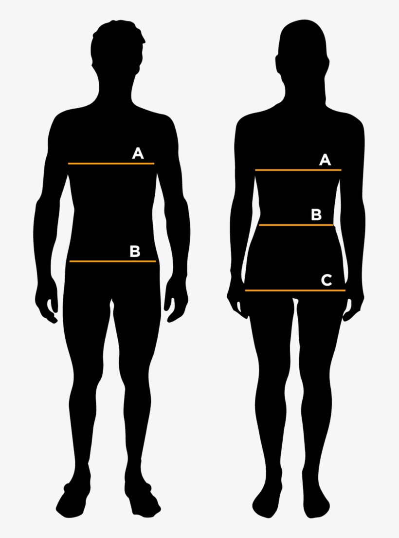Attaquer Sizing - Employment Icon Transparent, transparent png