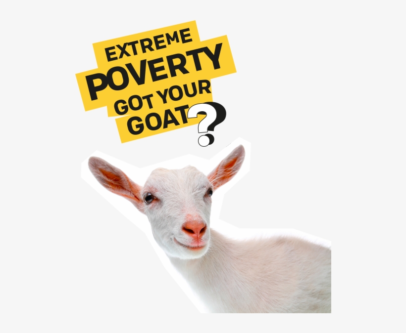 We Paid For This Goat - Goat, transparent png
