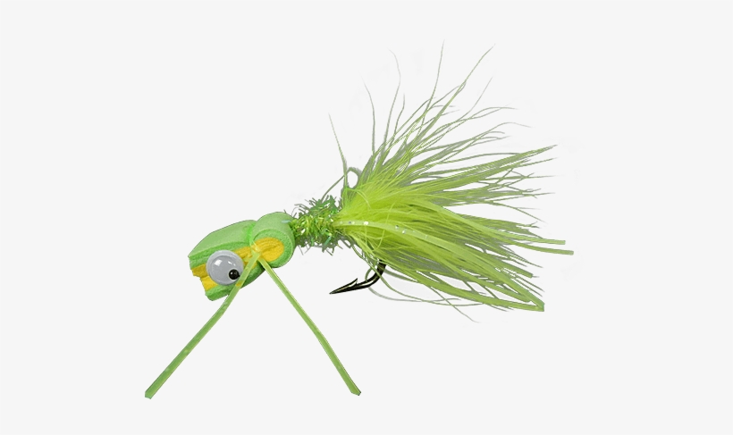 Grasshopper, transparent png