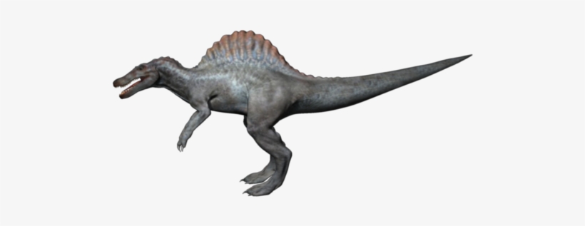 Here Is The Updates Spinosaurus - Tyrannosaurus, transparent png