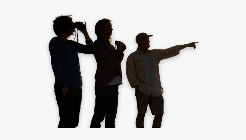 4696 Contour - Standing, transparent png