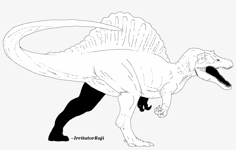 Banner Library Download Jp Spinosaurus Line Art Free - Sketch, transparent png