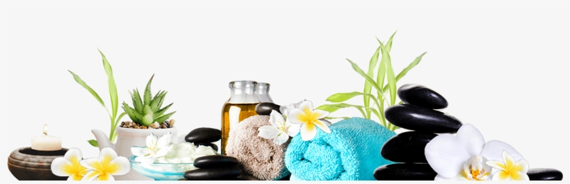 Divider Free Img - Camomile, transparent png