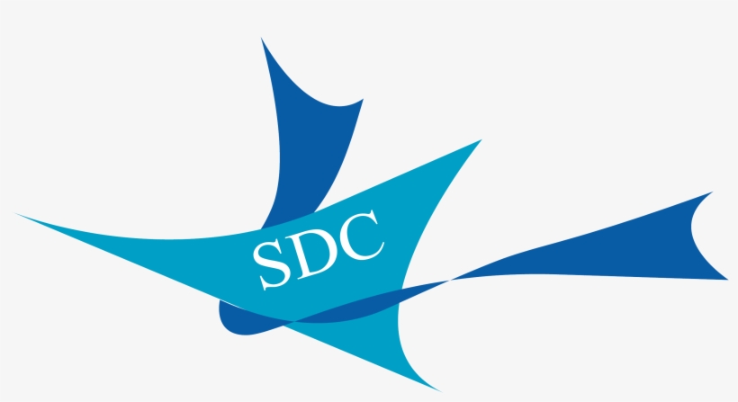 Sdc Blue Ribbon Foundation Logo - Graphic Design, transparent png