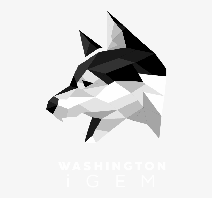 Gallery - Origami, transparent png