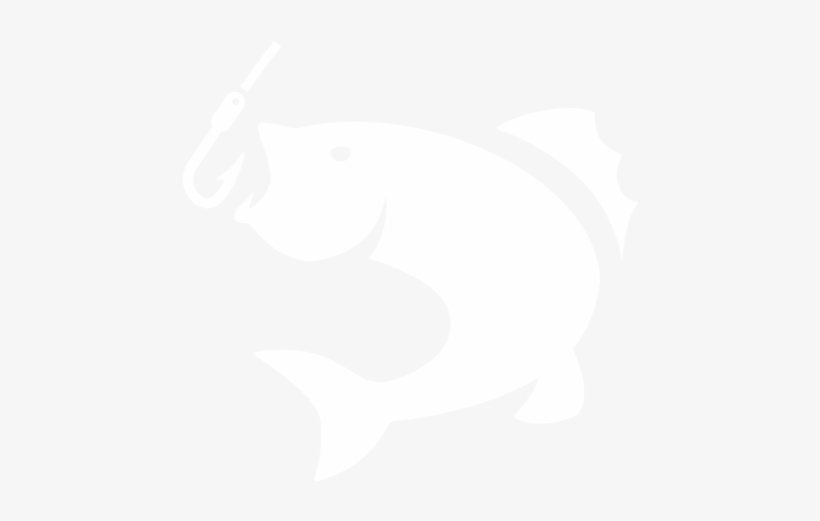 11 - Fishing, transparent png