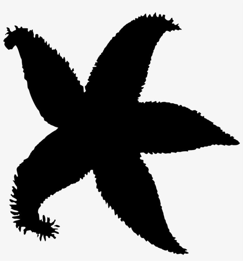 Download Png - Силуэты Морские Звезды, transparent png