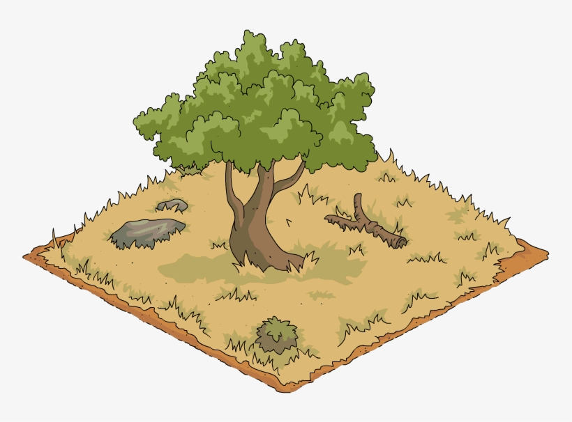 Shady Tree - Oak, transparent png