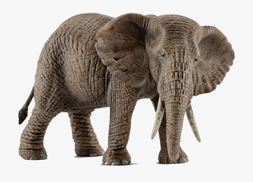 Schleich African Elephant Female, transparent png