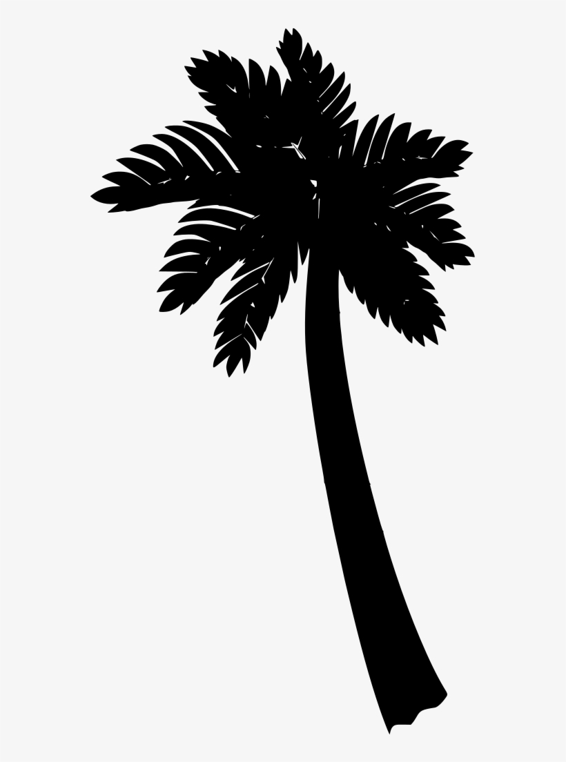 Download Png - Palm Trees, transparent png