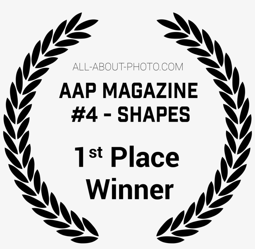 First Place Winner - Laurel Icon Border Png, transparent png