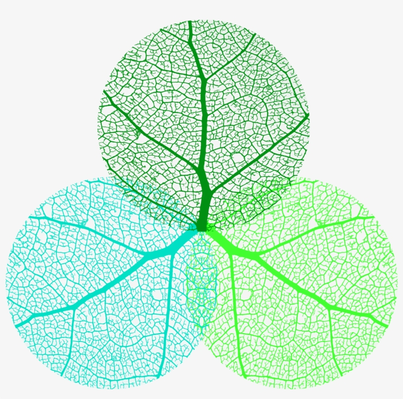 Three D Wellness Specializes In Personalized Functional - Spirit Body Mind Icons, transparent png