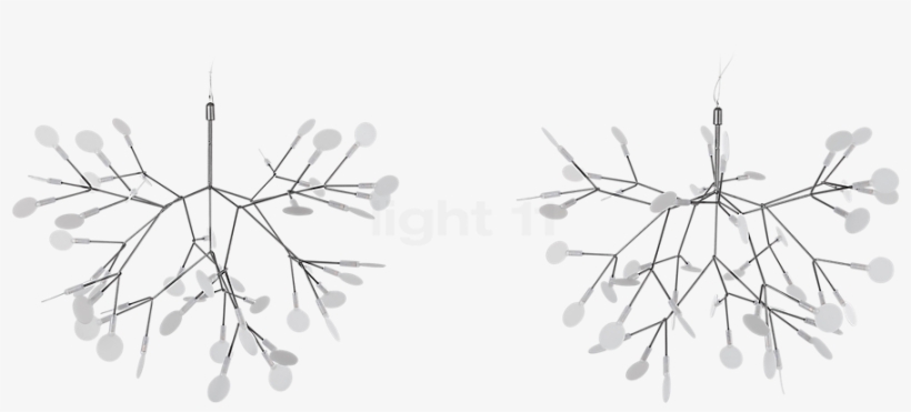 Heracleum Ii Pendant Light Png, transparent png