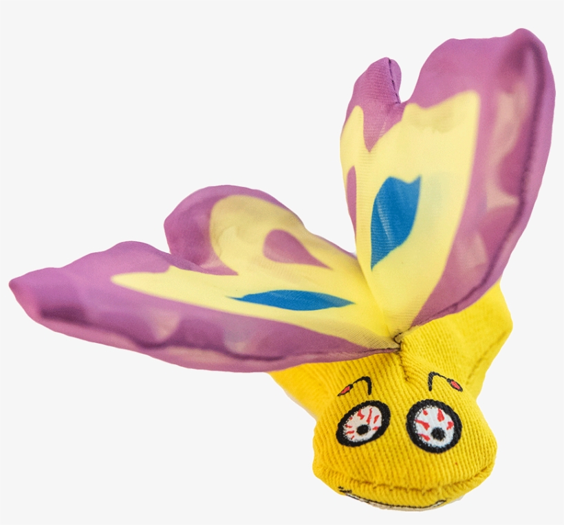 Cut Flowers, transparent png