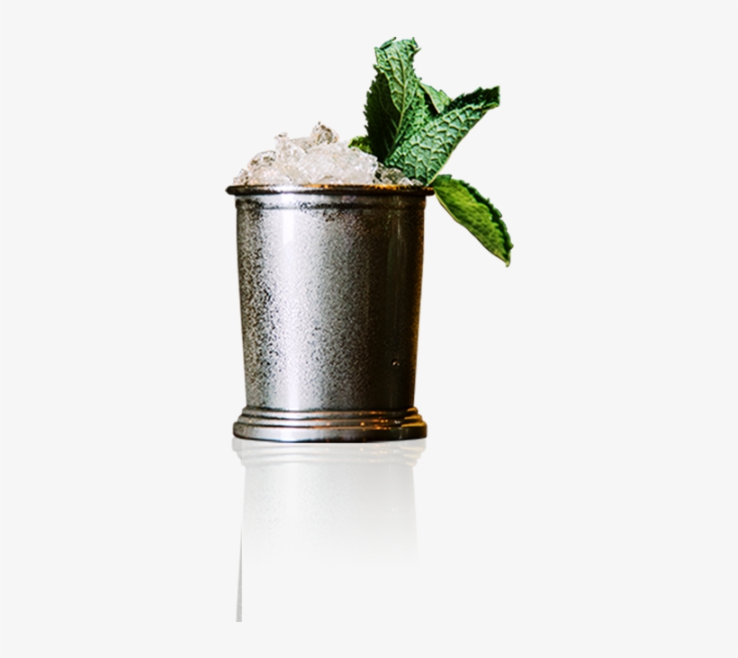 Canton Julep - Vodka And Tonic, transparent png