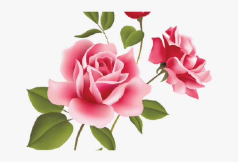 Pink Rose Clipart File - Rose Flowers Vector Png, transparent png