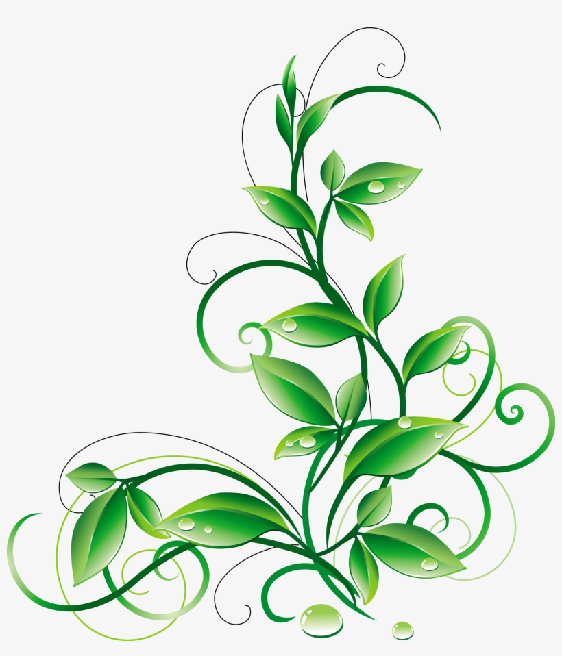 A Orig Png Pinterest Aorigpng - Green Color Flower Png, transparent png